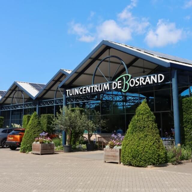 winkel-rijsbergen-zomer